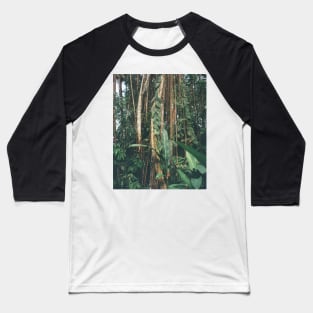 Jungle Serenity - Tropical Foliage Film Photo Art Baseball T-Shirt